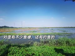 -崖口红树林海鲜餐厅