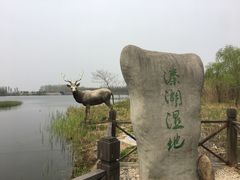 -溱湖国家湿地公园