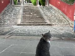 -玉泉观
