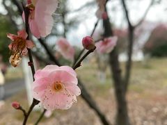 -凤凰沟景区