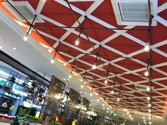 -九寸花汀(摩天活力城店)