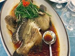 -御唐府海珊瑚主题餐厅