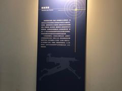 -轻武器博物馆