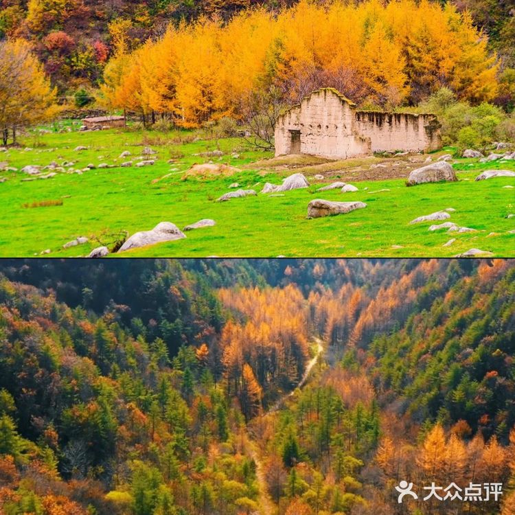 秦岭赏秋 | 这个十一假期,去看秦岭漫山红叶❗