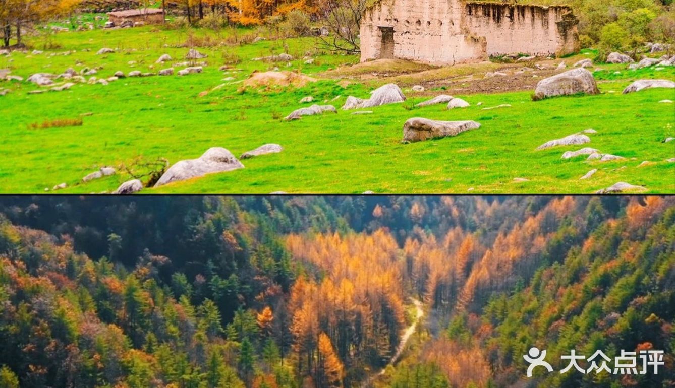 秦岭赏秋 | 这个十一假期,去看秦岭漫山红叶❗