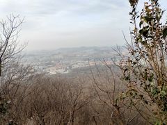 -紫金山山顶公园