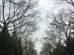 -白塘生态植物园