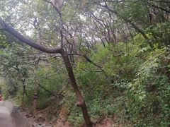 -神农山景区