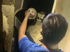 -秃鹫湾·推理大师沉浸式实景演绎推理剧场