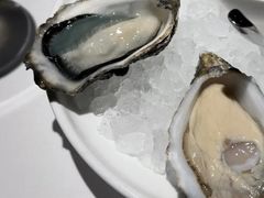 -Oyster Talks 四度蚝法餐厅