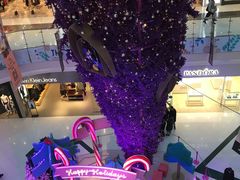 -凯德广场(学府店)