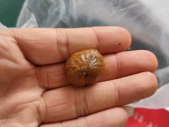 -中栗华栗子(鞍山道店)