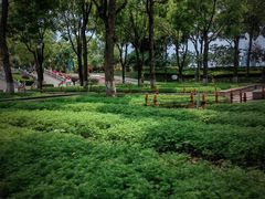 -仙岳公园