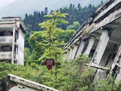 -四川汶川特大地震漩口中学遗址