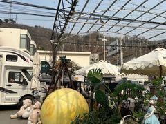 -京北渔家傲