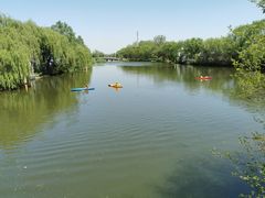 -溱湖国家湿地公园