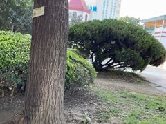 -北京世界公园