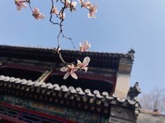 -潭柘寺景区
