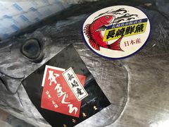 -橼舍鮨青木