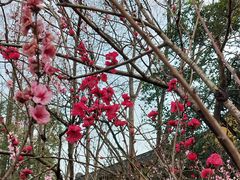 -上海市龙华烈士陵园