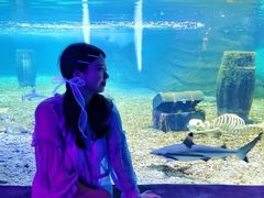 -秦皇岛乐岛海洋王国