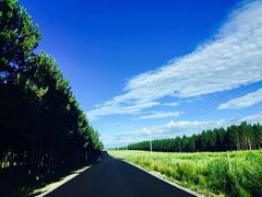 -塞罕坝国家级自然保护区