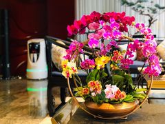 -广州永庆坊瞻云精选酒店