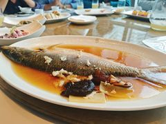 招牌中式清蒸鲥鱼（半条）-苏浙汇(南京西路店)