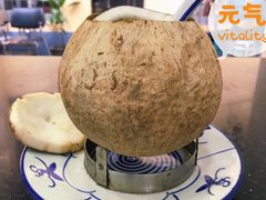 -達揚原味燉品(文明路店)