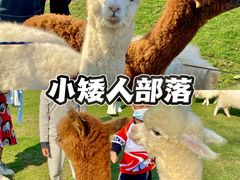 -珠海海泉湾神秘岛亲子乐园