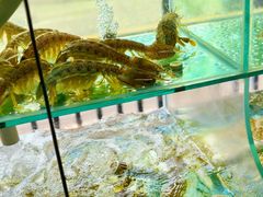 -凯华海鲜火锅·传承三十六年