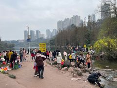 -重庆彩云湖湿地公园