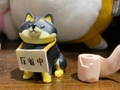 -逗柴咖啡屋·狗咖猫咖宠物桌游