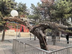 -大钟寺古钟博物馆