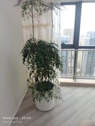 -HEYAN荷妍专业脱毛连锁机构