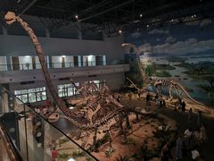 -自贡恐龙博物馆