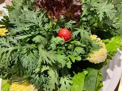 -同禧荟·港味海鲜火锅·粤菜(三亚湾店)