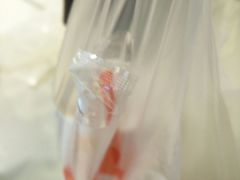 -CoCo都可(北美店)