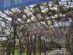 -武汉紫薇都市田园