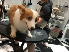 -Oh My Dog宠物沙龙(伊珊娜皮毛护理店)