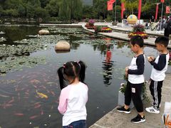 -白马涧龙池景区
