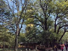 -阿育王寺