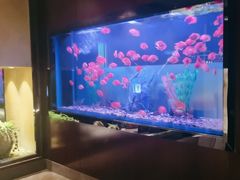 -九洲喜来登酒店湖月日餐厅