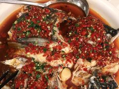 -饭怕鱼·黄焖鲟龙鱼(湖大店)