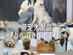 -汪说·狗咖·拼豆·宠物周边DIY(旺城大厦店)
