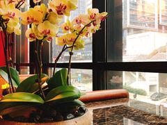 -丽晶轩中餐厅(重庆丽晶酒店)