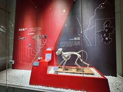 -国家自然博物馆