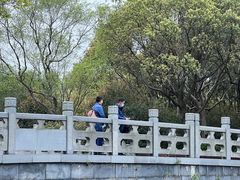 -贡湖湾湿地公园