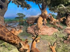 -国家自然博物馆