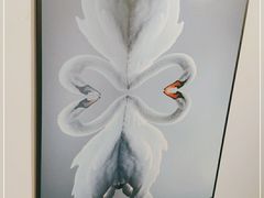 -天治宣·野椒鸡(龙头寺总店)
